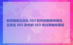 如何确保云优化 SEO 软件的数据准确性_云优化 SEO 软件的 SEO 优化策略有哪些