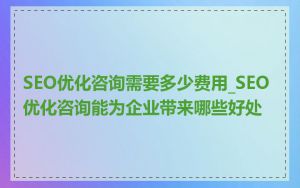 SEO优化咨询需要多少费用_SEO优化咨询能为企业带来哪些好处