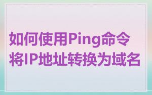 如何使用Ping命令将IP地址转换为域名