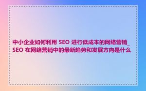 中小企业如何利用 SEO 进行低成本的网络营销_SEO 在网络营销中的最新趋势和发展方向是什么