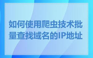 如何使用爬虫技术批量查找域名的IP地址