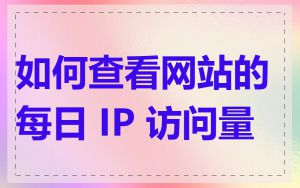 如何查看网站的每日 IP 访问量