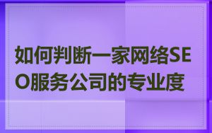 如何判断一家网络SEO服务公司的专业度