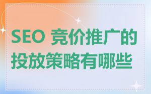 SEO 竞价推广的投放策略有哪些