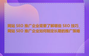 网站 SEO 推广企业需要了解哪些 SEO 技巧_网站 SEO 推广企业如何制定长期的推广策略