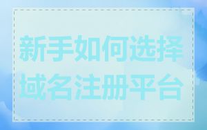 新手如何选择域名注册平台