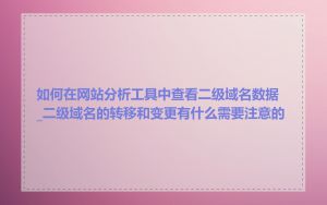 如何在网站分析工具中查看二级域名数据_二级域名的转移和变更有什么需要注意的