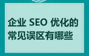 企业 SEO 优化的常见误区有哪些