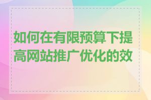 如何在有限预算下提高网站推广优化的效果