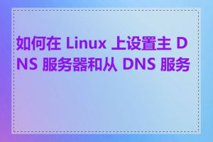 如何在 Linux 上设置主 DNS 服务器和从 DNS 服务器