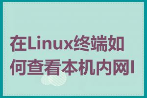 在Linux终端如何查看本机内网IP