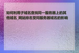 如何利用子域名查找同一服务器上的其他域名_网站排名受同服务器域名的影响吗