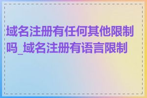 域名注册有任何其他限制吗_域名注册有语言限制吗