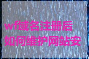 wf域名注册后如何维护网站安全