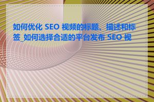 如何优化 SEO 视频的标题、描述和标签_如何选择合适的平台发布 SEO 视频