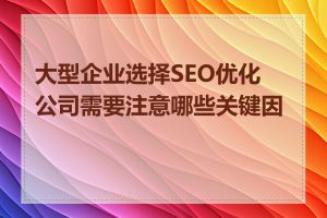 大型企业选择SEO优化公司需要注意哪些关键因素