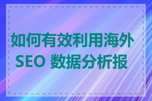 如何有效利用海外 SEO 数据分析报告