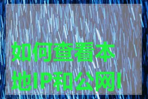 如何查看本地IP和公网IP