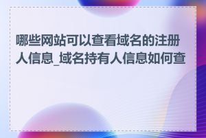 哪些网站可以查看域名的注册人信息_域名持有人信息如何查看