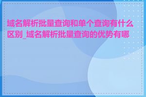 域名解析批量查询和单个查询有什么区别_域名解析批量查询的优势有哪些