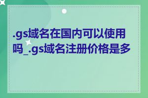 .gs域名在国内可以使用吗_.gs域名注册价格是多少