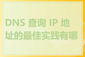 DNS 查询 IP 地址的最佳实践有哪些