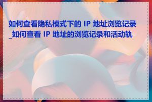 如何查看隐私模式下的 IP 地址浏览记录_如何查看 IP 地址的浏览记录和活动轨迹