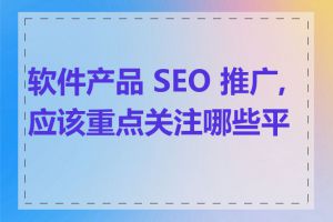 软件产品 SEO 推广,应该重点关注哪些平台