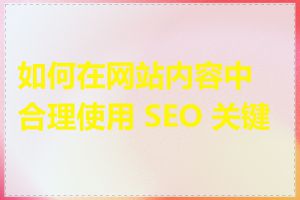 如何在网站内容中合理使用 SEO 关键词