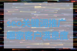 seo关键词推广哪家客户满意度高