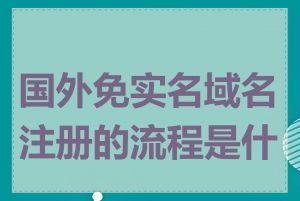 国外免实名域名注册的流程是什么