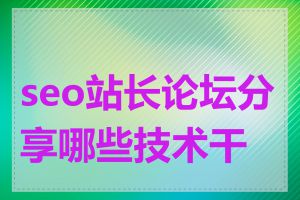 seo站长论坛分享哪些技术干货