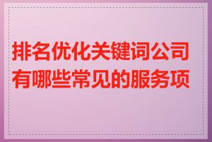 排名优化关键词公司有哪些常见的服务项目