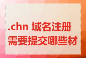 .chn 域名注册需要提交哪些材料