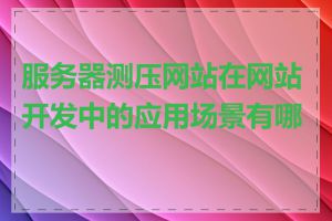 服务器测压网站在网站开发中的应用场景有哪些