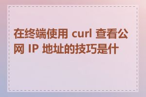 在终端使用 curl 查看公网 IP 地址的技巧是什么