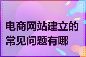 电商网站建立的常见问题有哪些