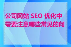 公司网站 SEO 优化中需要注意哪些常见的问题