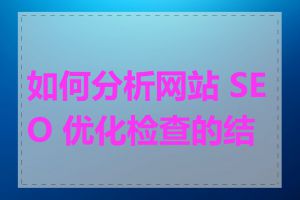 如何分析网站 SEO 优化检查的结果