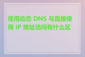 使用动态 DNS 与直接使用 IP 地址访问有什么区别