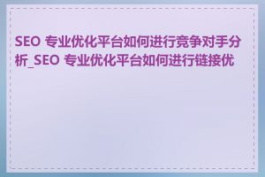 SEO 专业优化平台如何进行竞争对手分析_SEO 专业优化平台如何进行链接优化