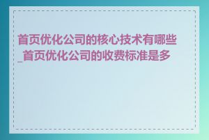 首页优化公司的核心技术有哪些_首页优化公司的收费标准是多少