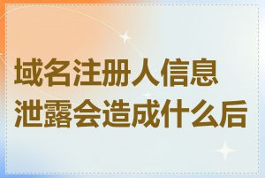 域名注册人信息泄露会造成什么后果