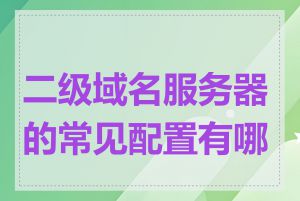 二级域名服务器的常见配置有哪些