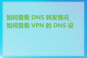 如何查看 DNS 转发情况_如何查看 VPN 的 DNS 设置