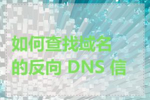 如何查找域名的反向 DNS 信息