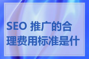 SEO 推广的合理费用标准是什么