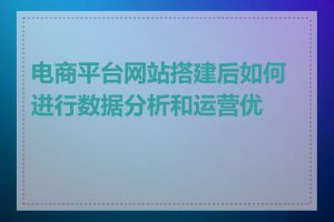 电商平台网站搭建后如何进行数据分析和运营优化