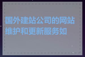 国外建站公司的网站维护和更新服务如何