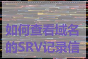 如何查看域名的SRV记录信息